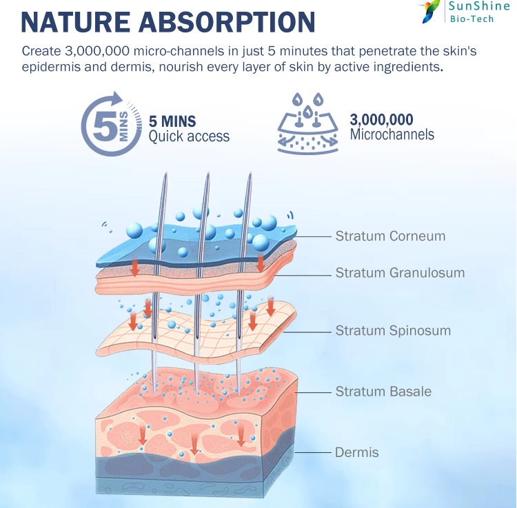 그림입니다.
원본 그림의 이름: IMG00003c441700.png
원본 그림의 크기: 가로 430pixel, 세로 425pixel