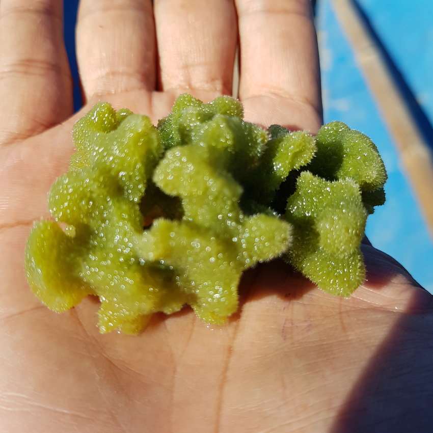 그림입니다.
원본 그림의 이름: mem00003c44001c.jpg
원본 그림의 크기: 가로 850pixel, 세로 850pixel
사진 찍은 날짜: 2019년 04월 21일 오후 7:30
카메라 제조 업체 : samsung
카메라 모델 : SM-N935F
프로그램 이름 : N935FXXU4CSC5
F-스톱 : 1.7
노출 시간 : 1/1692초
ISO 감도 : 50
색 대표 : sRGB
노출 모드 : 자동
35mm 초점 거리 : 26
