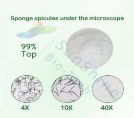 그림입니다.
원본 그림의 이름: IMG00003c4416fe.png
원본 그림의 크기: 가로 419pixel, 세로 372pixel